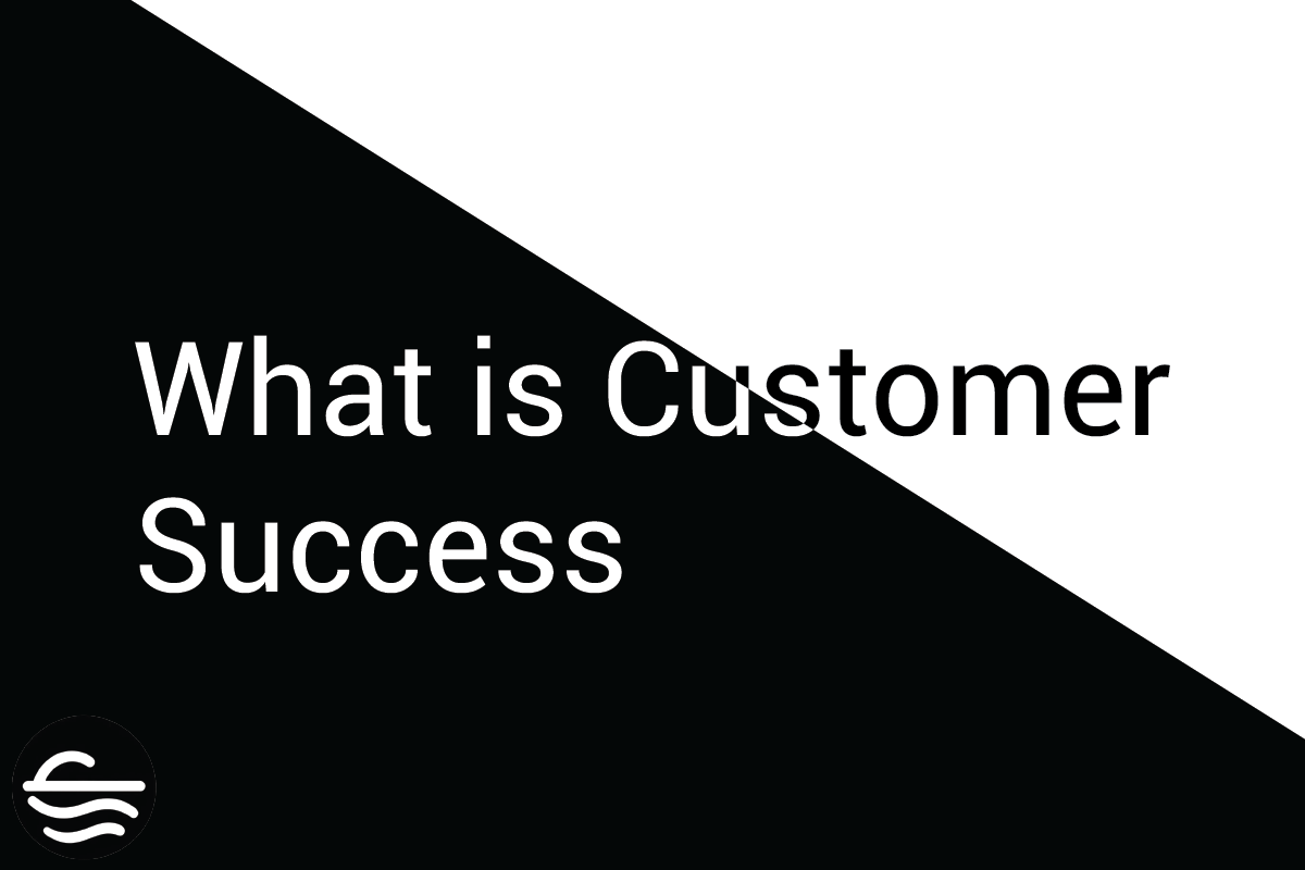 What is Customer Success