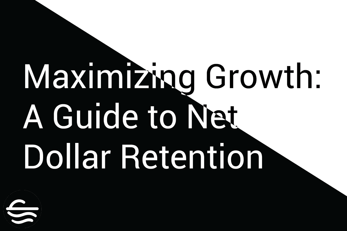 Maximizing Growth: A Guide to Net Dollar Retention