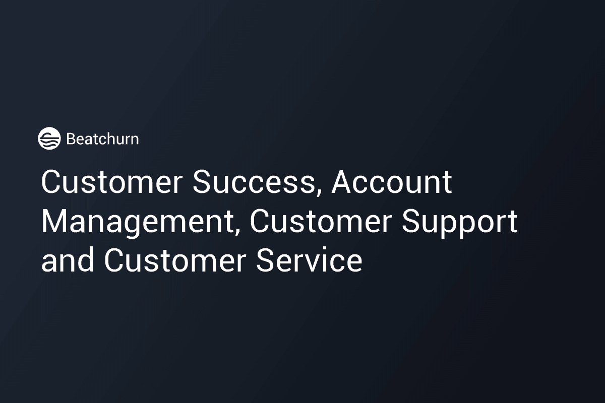 The Differences between Customer Success, Account Management, Customer Support and Customer Service